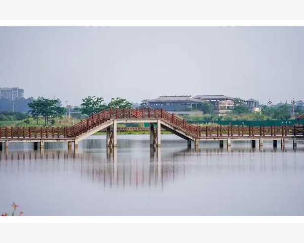补肾喝什么泡水较好——传统中医养生之道