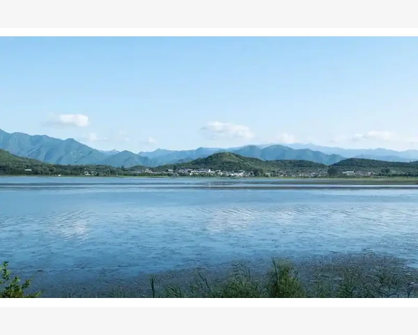 儿童脾胃不好能吃火腿吗？专家建议你知道